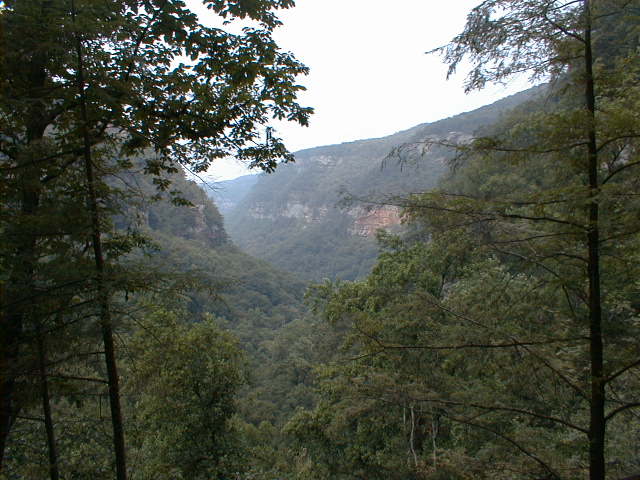 cumberland plateau georgia